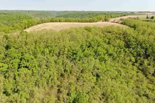 13321 Smith Dr, Soldiers Grove, WI 54655 - Photo 28