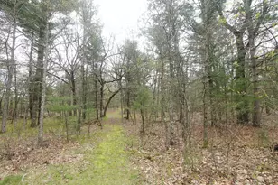 N676 15th Ln, Wautoma, WI 54982 - Photo 34