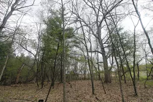 N676 15th Ln, Wautoma, WI 54982 - Photo 38