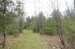 N676 15th Ln, Wautoma, WI 54982 - Photo 36