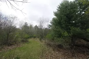N676 15th Ln, Wautoma, WI 54982 - Photo 40