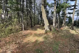 1818 Badger Ct, Arkdale, WI 54613 - Photo 26