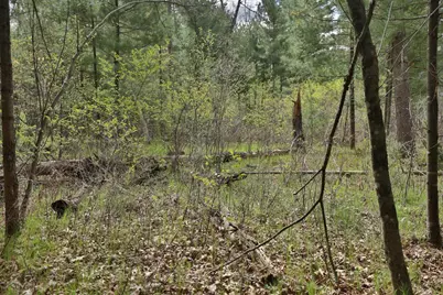 Lot 1 Grayling Avenue, Tomah, WI 54660 - Photo 40