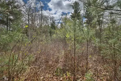 Lot 1 Grayling Avenue, Tomah, WI 54660 - Photo 30