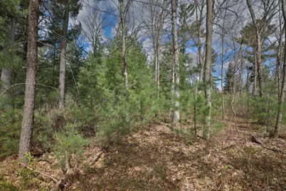 Lot 1 Grayling Avenue, Tomah, WI 54660 - Photo 38