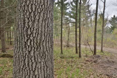 Lot 1 Grayling Avenue, Tomah, WI 54660 - Photo 26
