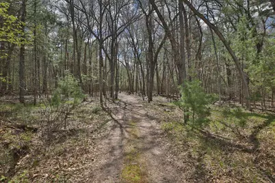 Lot 2 Grayling Avenue, Tomah, WI 54660 - Photo 30
