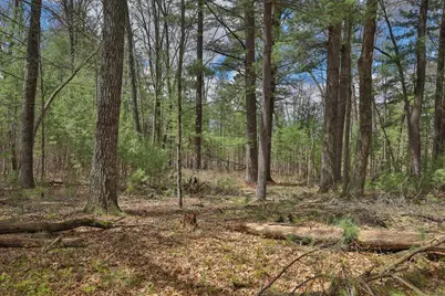 Lot 3 Grayling Avenue, Tomah, WI 54660 - Photo 10