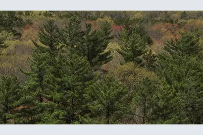 Lot 3 Grayling Avenue, Tomah, WI 54660 - Photo 6