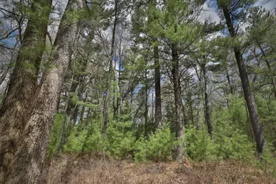 Lot 3 Grayling Avenue, Tomah, WI 54660 - Photo 14