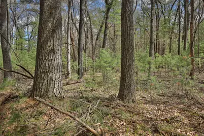 Lot 3 Grayling Avenue, Tomah, WI 54660 - Photo 30