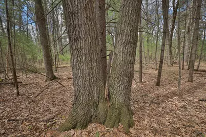 Lot 3 Grayling Avenue, Tomah, WI 54660 - Photo 8