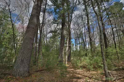 Lot 3 Grayling Avenue, Tomah, WI 54660 - Photo 12