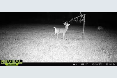 Lot 4 Grayling Avenue, Tomah, WI 54660 - Photo 40