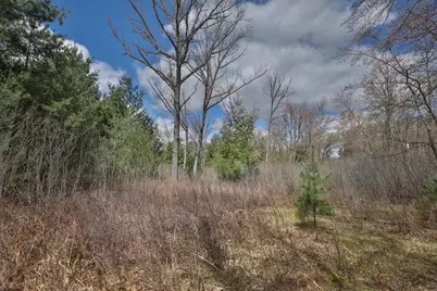 Lot 4 Grayling Avenue, Tomah, WI 54660 - Photo 26