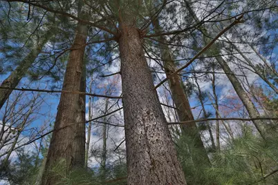 Lot 4 Grayling Avenue, Tomah, WI 54660 - Photo 38