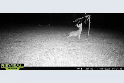 Lot 4 Grayling Avenue, Tomah, WI 54660 - Photo 28