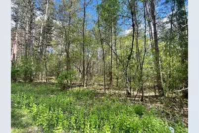 Lots 4 &amp; 5 Czech Lane, Friendship, WI 53934 - Photo 2