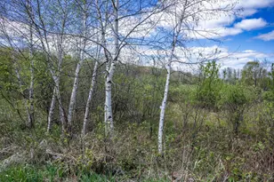 70 Acres 22nd St, Necedah, WI 54646 - Photo 1