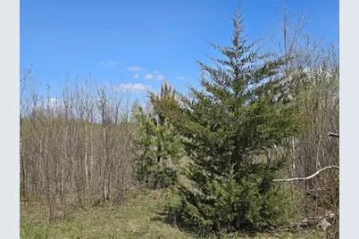 70 Acres 22nd Street, Necedah, WI 54646 - Photo 52