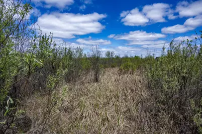 70 Acres 22nd Street, Necedah, WI 54646 - Photo 28