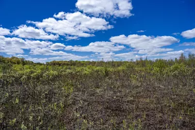 70 Acres 22nd Street, Necedah, WI 54646 - Photo 42