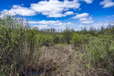 70 Acres 22nd Street, Necedah, WI 54646 - Photo 40
