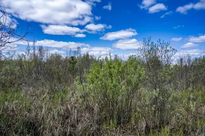 70 Acres 22nd Street, Necedah, WI 54646 - Photo 38