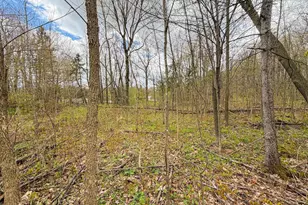 9945 Cty Cc Rd, Pittsville, WI 54466 - Photo 72