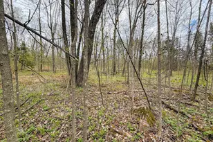 9945 Cty Cc Rd, Pittsville, WI 54466 - Photo 74
