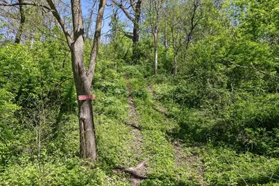 7529 County F Road, Blanchardville, WI 53516 - Photo 40
