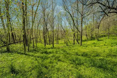 7 Acres London Avenue, Wilton, WI 54670 - Photo 22