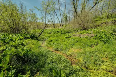 7 Acres London Avenue, Wilton, WI 54670 - Photo 18