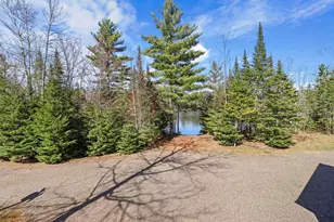 5241 Mcilvain Rd, Manitowish Waters, WI 54545 - Photo 22