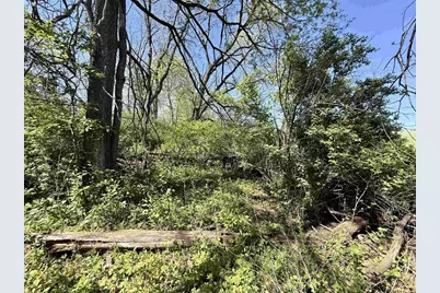 Csm 1918, Lot 1 Highway 39, Blanchardville, WI 53516 - Photo 8