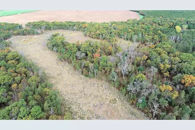 40.18 Acres Deerborn Avenue, Friendship, WI 53934 - Photo 6