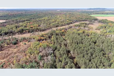 40.18 Acres Deerborn Avenue, Friendship, WI 53934 - Photo 18