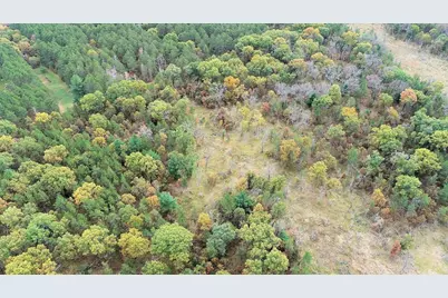 40.18 Acres Deerborn Avenue, Friendship, WI 53934 - Photo 8