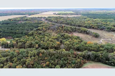 40.18 Acres Deerborn Avenue, Friendship, WI 53934 - Photo 10