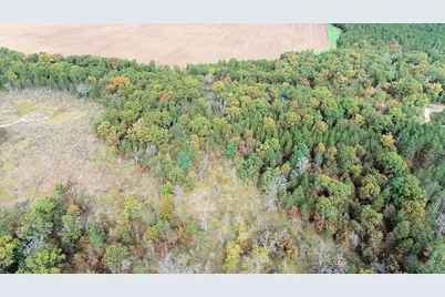 40.18 Acres Deerborn Avenue, Friendship, WI 53934 - Photo 22