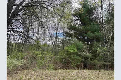 Lot 1 Czech Lane, Neshkoro, WI 54960 - Photo 4