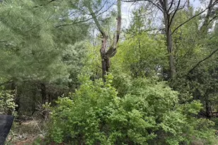 S1085 Clara Ave, Wisconsin Dells, WI 53965 - Photo 6