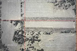 W4638 County Rd T Rd, Princeton, WI 54968 - Photo 82