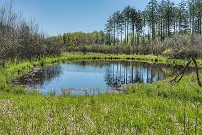 W3336 Dover Avenue, Neshkoro, WI 54960 - Photo 12