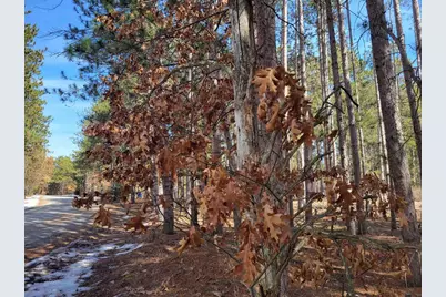Lot 204 Raven Drive, New Lisbon, WI 53950 - Photo 40