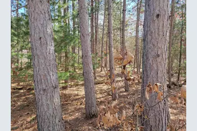 Lot 204 Raven Drive, New Lisbon, WI 53950 - Photo 42