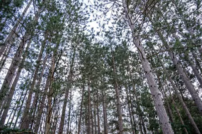 Lot 204 Raven Drive, New Lisbon, WI 53950 - Photo 50