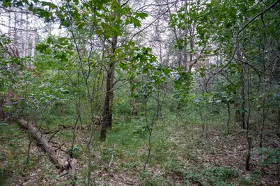 Lot 204 Raven Drive, New Lisbon, WI 53950 - Photo 24