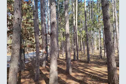 Lot 204 Raven Drive, New Lisbon, WI 53950 - Photo 46