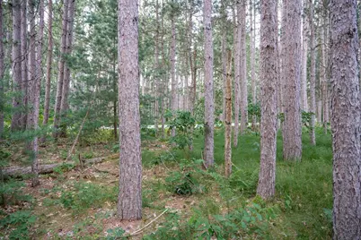 Lot 204 Raven Drive, New Lisbon, WI 53950 - Photo 48